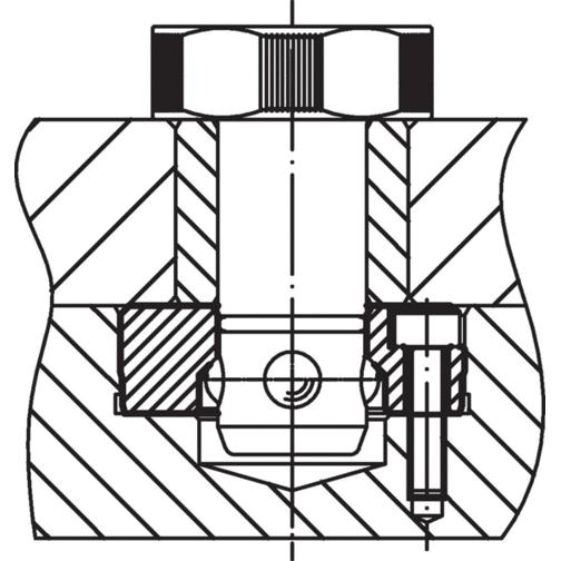 Positionier-Spannbolzen aus Vergütungsstahl - D1: 30 mm, L1: 25 mm | Artikelnummer: 23111.0030