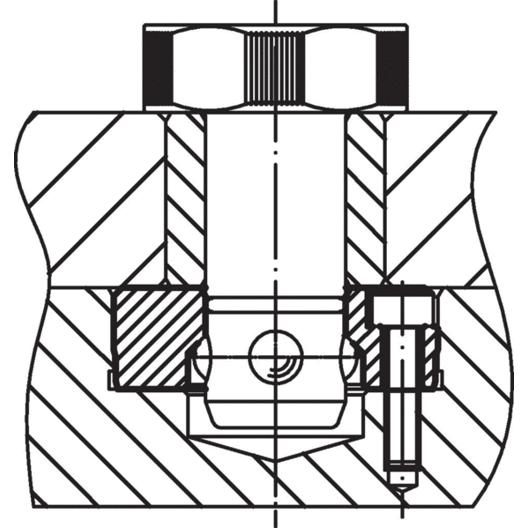 Positionier-Spannbolzen aus rostfreiem Stahl - D1: 25 mm, L1: 30 mm | Artikelnummer: 23111.0127